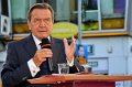 Wahl_2013   094
